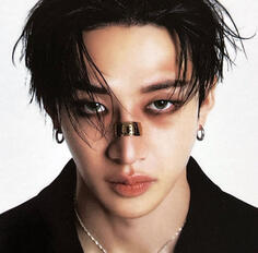 bang chan / stray kids